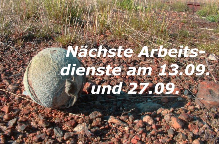 Arbeitsdienst 2025